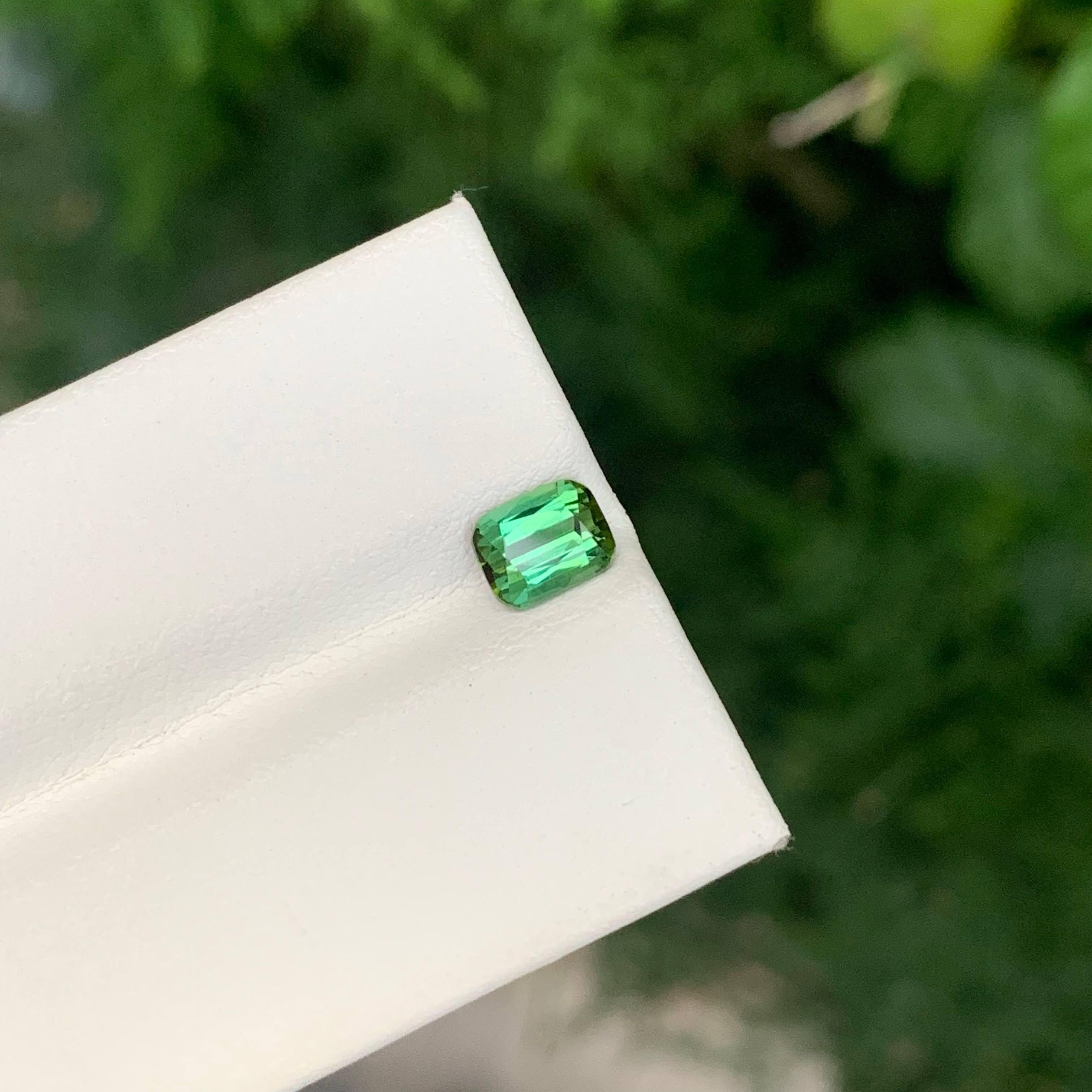 0.90 Carat Natural Loose Mint Green Tourmaline Stone Cushion Cut Afghan Gemstone (pierre précieuse afghane) en vente 2
