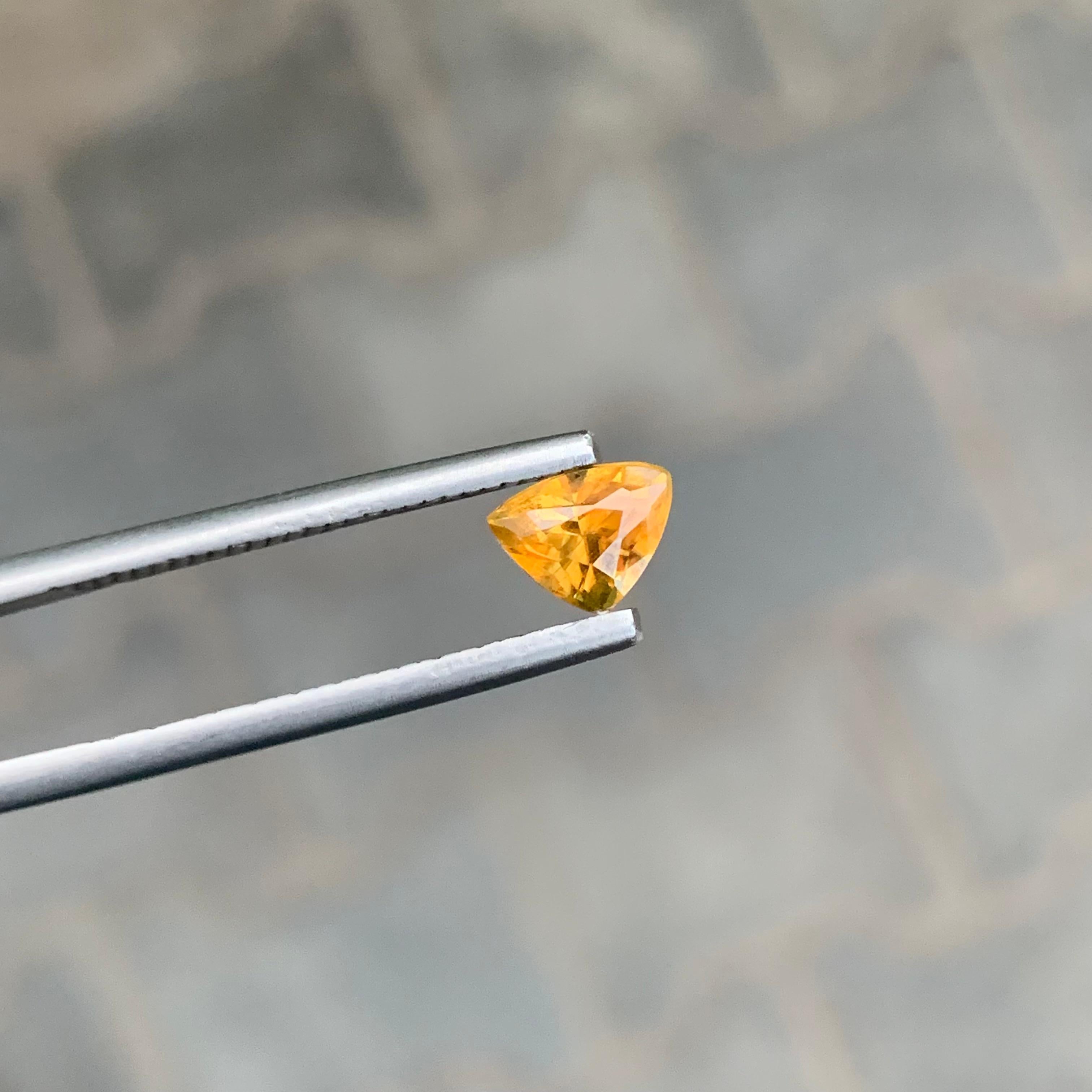 0,90 Karat natürlicher loser Titanit in Trillionenform für Schmuck im Angebot 4