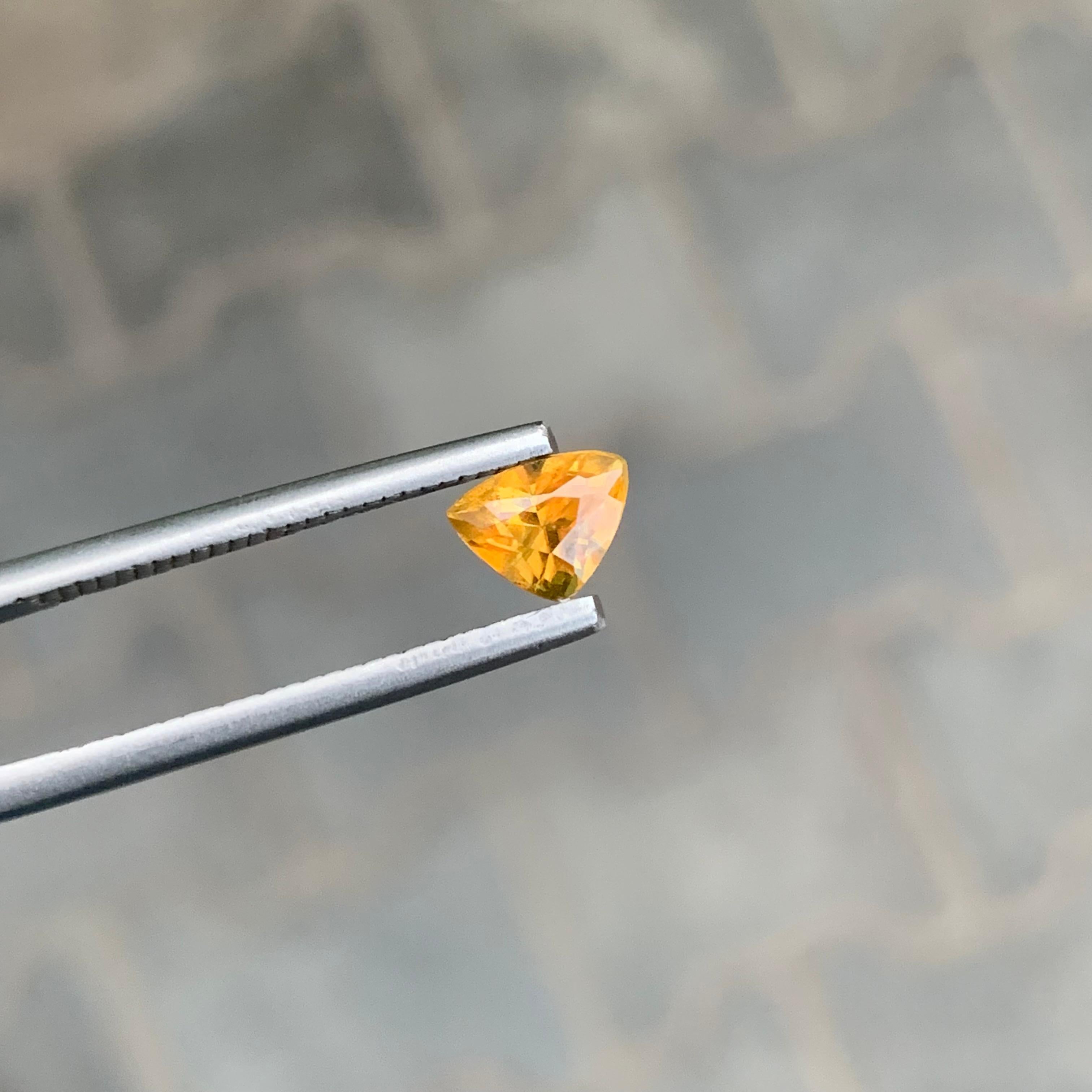 0,90 Karat natürlicher loser Titanit in Trillionenform für Schmuck im Angebot 5