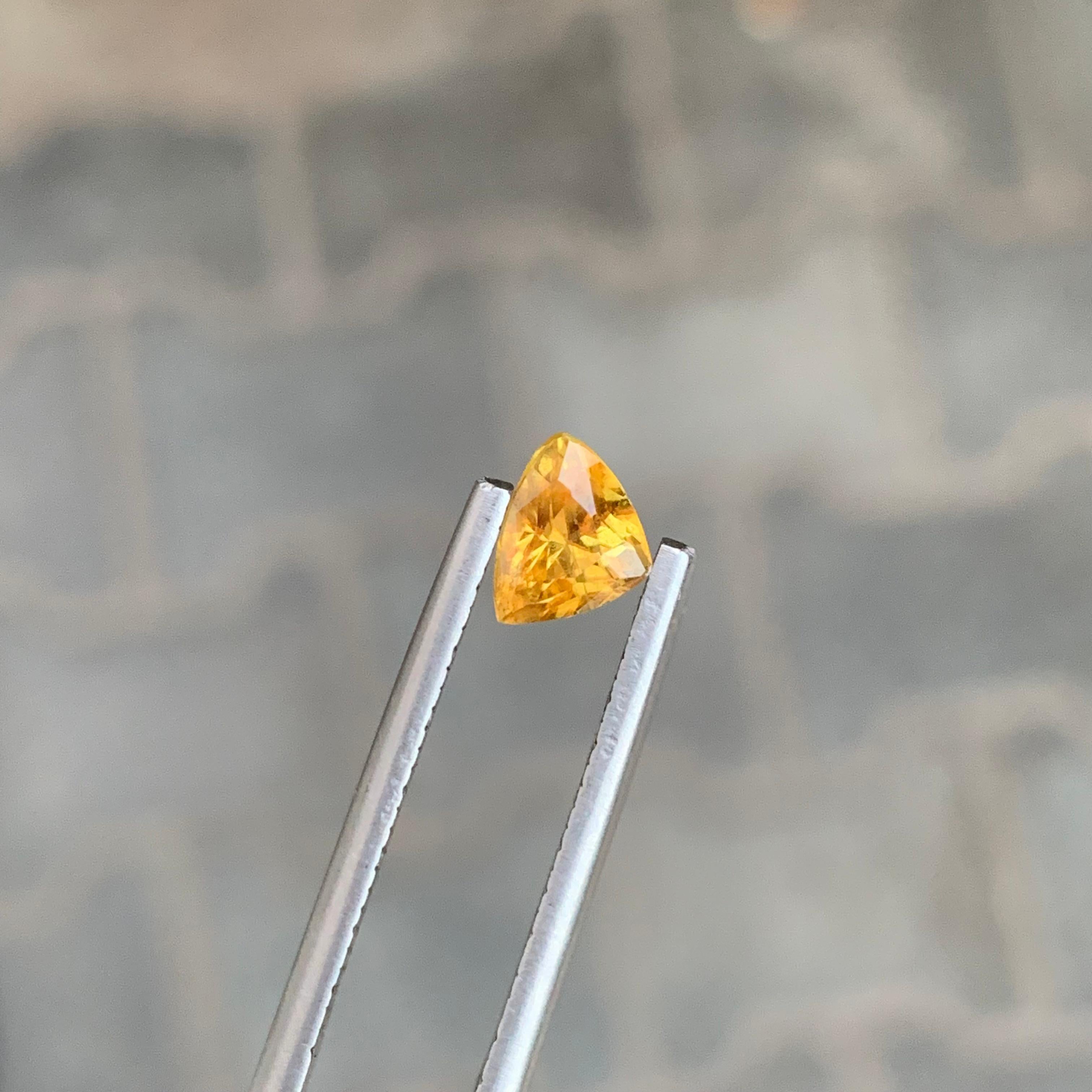 0,90 Karat natürlicher loser Titanit in Trillionenform für Schmuck im Zustand „Neu“ im Angebot in Peshawar, PK