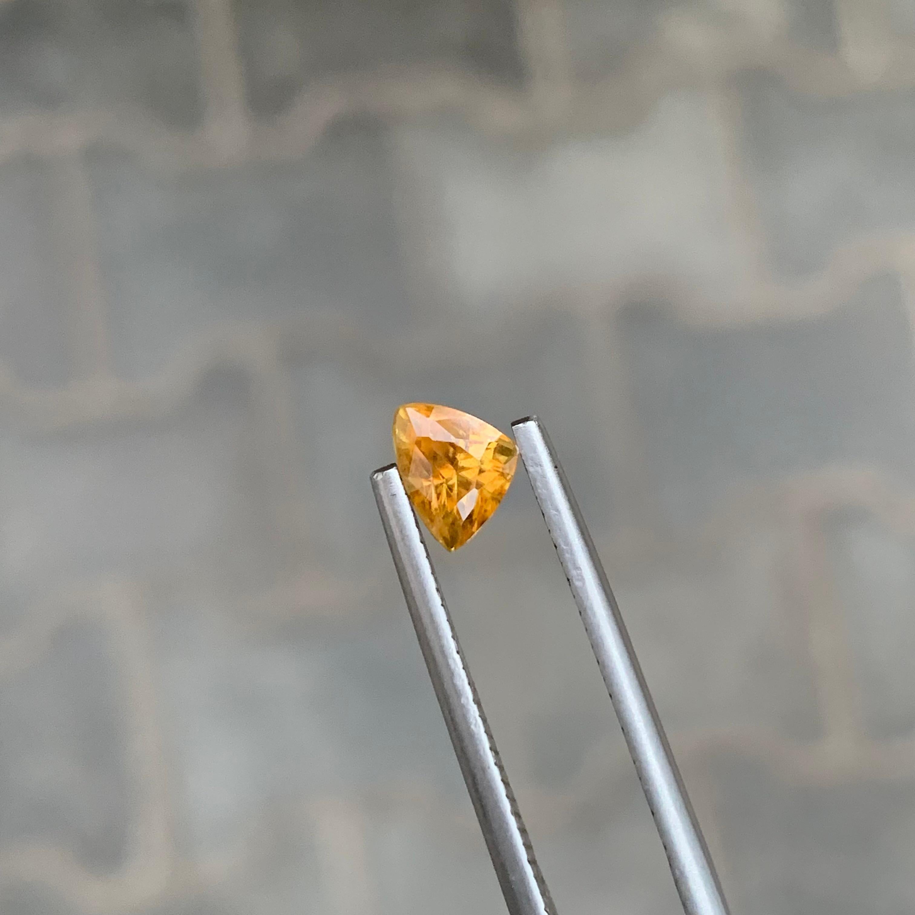 0,90 Karat natürlicher loser Titanit in Trillionenform für Schmuck für Damen oder Herren im Angebot