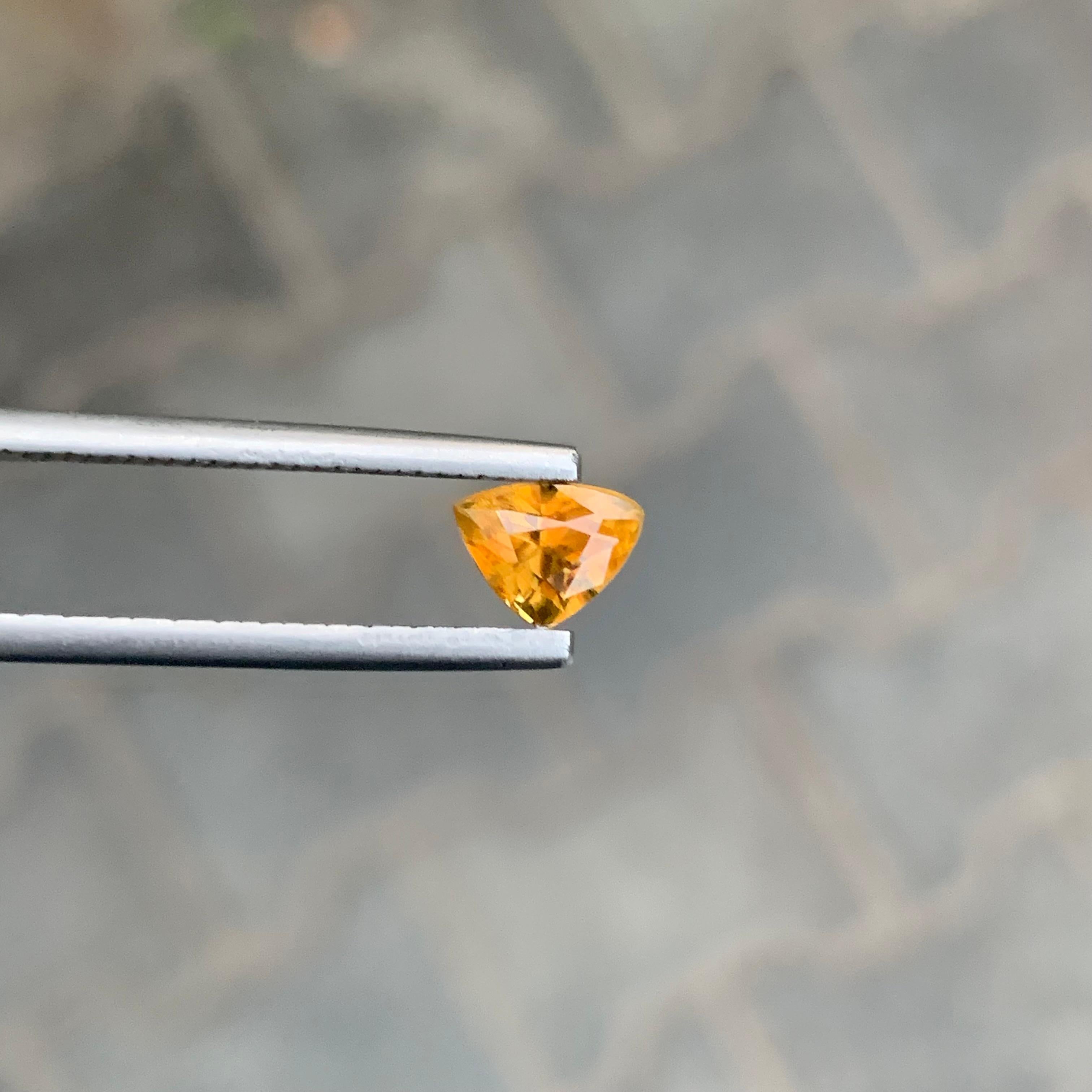 0,90 Karat natürlicher loser Titanit in Trillionenform für Schmuck im Angebot 1