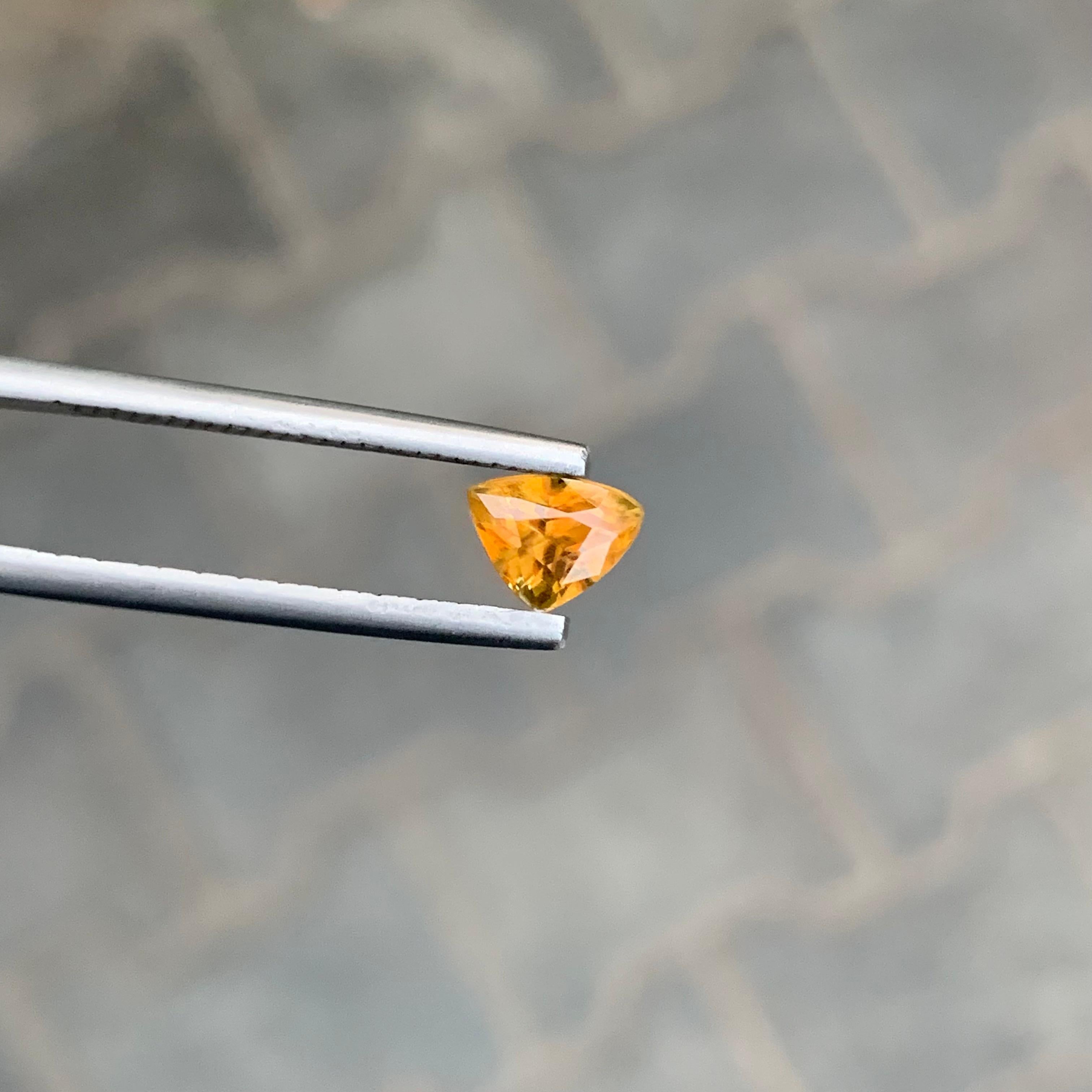 0,90 Karat natürlicher loser Titanit in Trillionenform für Schmuck im Angebot 2
