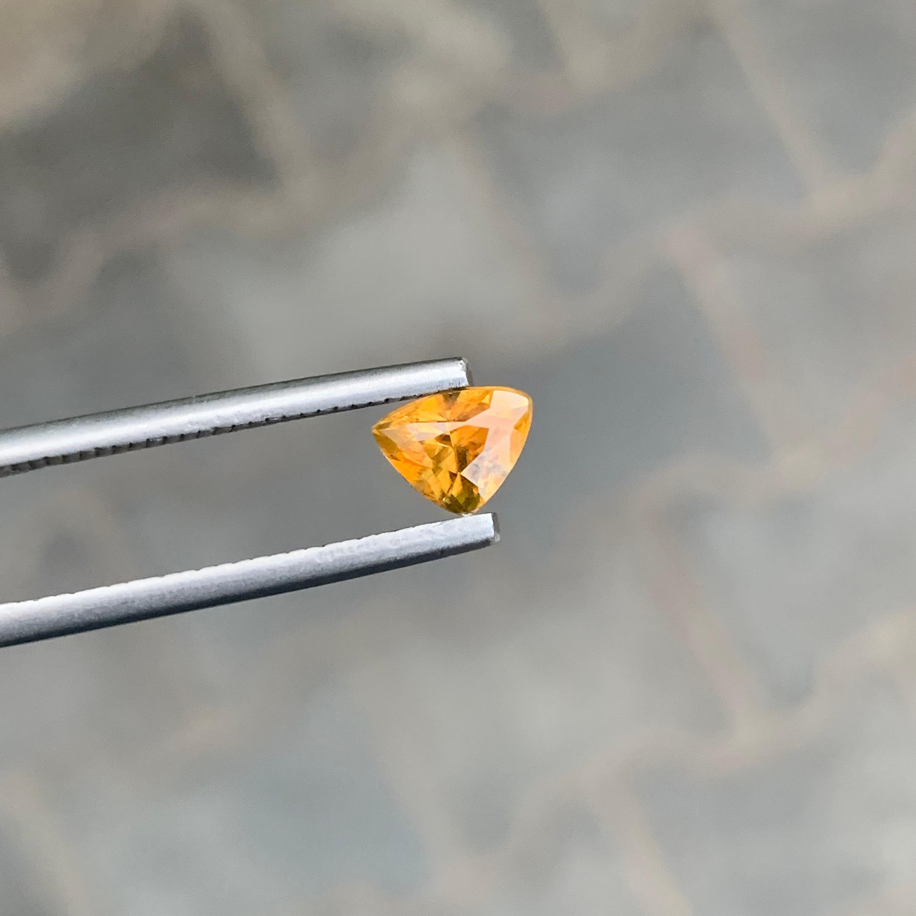 0,90 Karat natürlicher loser Titanit in Trillionenform für Schmuck im Angebot 3