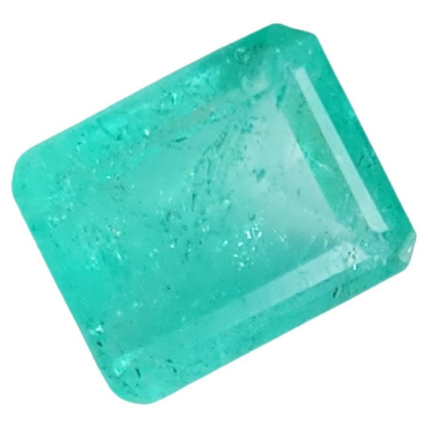 0.905Ct Natural Loose Emerald Radiant Shape  For Sale