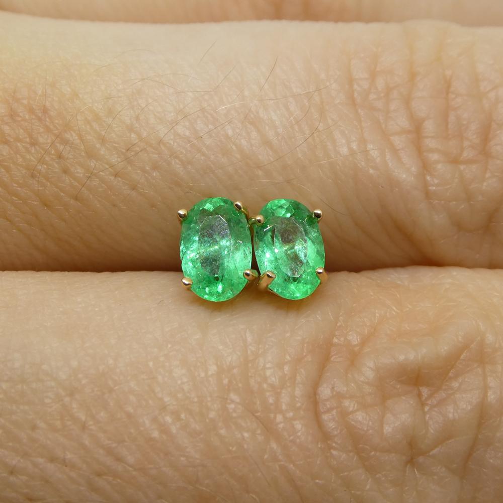 0.91ct Oval Green Colombian Emerald Stud Earrings set in 14k Yellow Gold For Sale 6