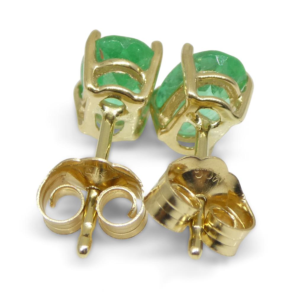 0.91ct Oval Green Colombian Emerald Stud Earrings set in 14k Yellow Gold In New Condition For Sale In Toronto, Ontario