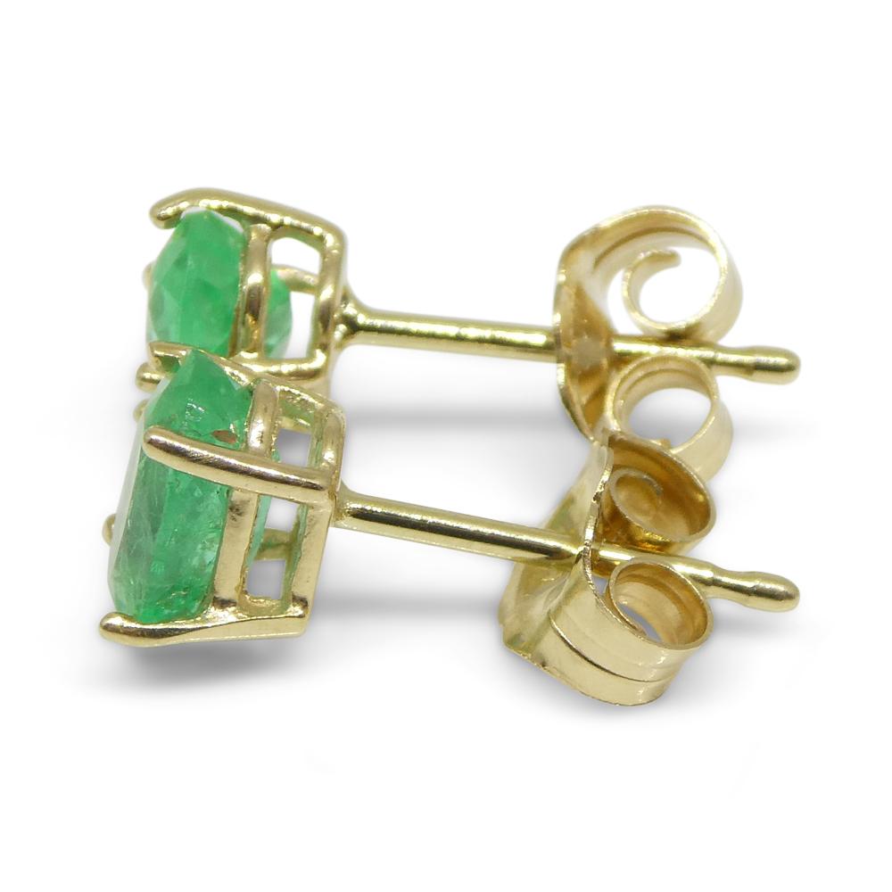Women's or Men's 0.91ct Oval Green Colombian Emerald Stud Earrings set in 14k Yellow Gold For Sale