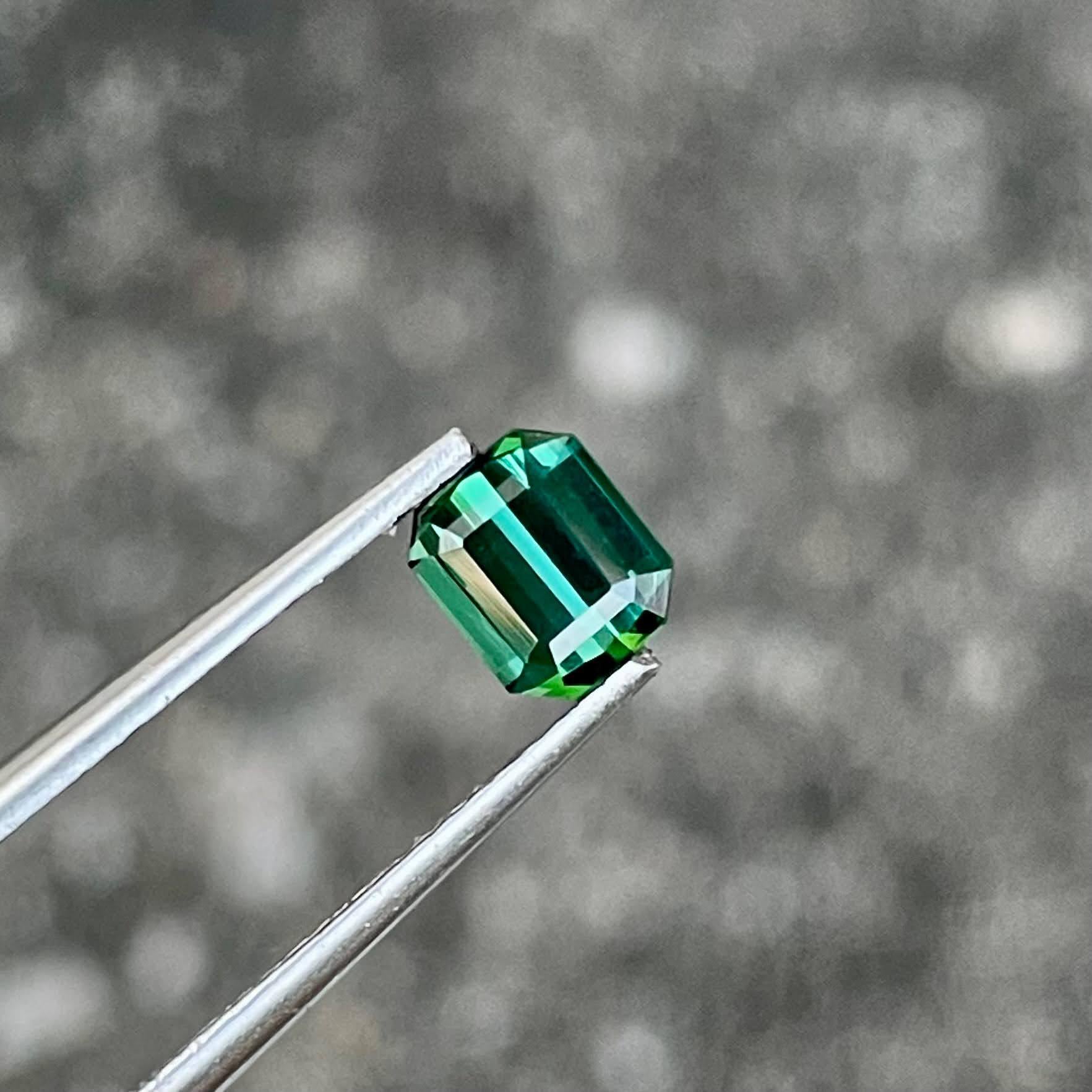 Poids 0,92 carats 
Dimensions 6.0x5.0x3.8 mm
Traitement aucun 
Origine Afghanistan 
Clarté VVS 
Forme Octogone 
Émeraude taillée 



Cette exquise tourmaline verdâtre de 0.92 carat présente une étonnante taille émeraude qui met en valeur sa