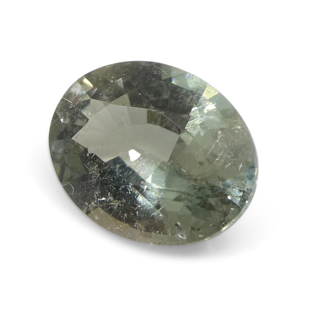 0.93ct Oval Green Tourmaline from Brazil For Sale 7