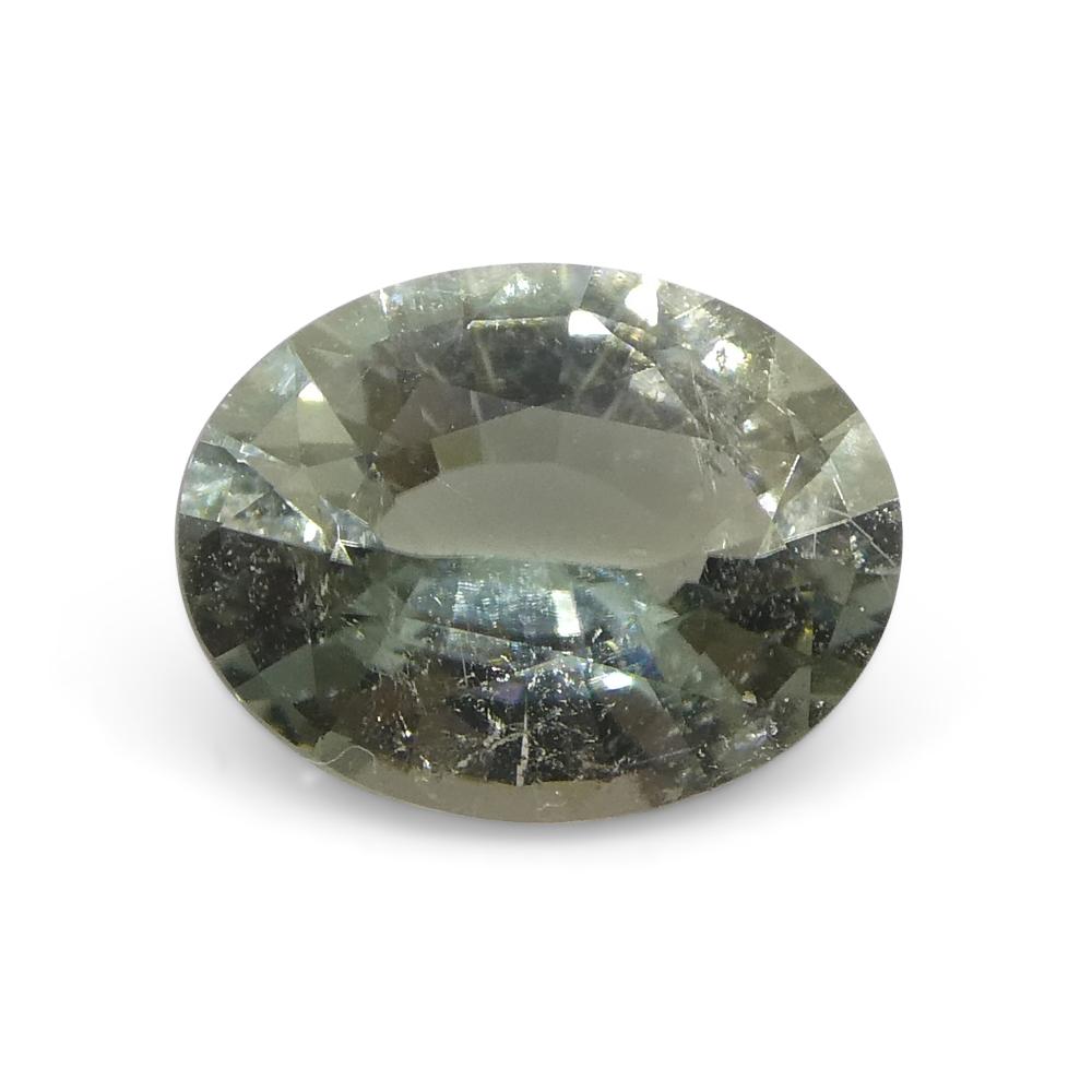 0.93ct Oval Green Tourmaline from Brazil For Sale 2