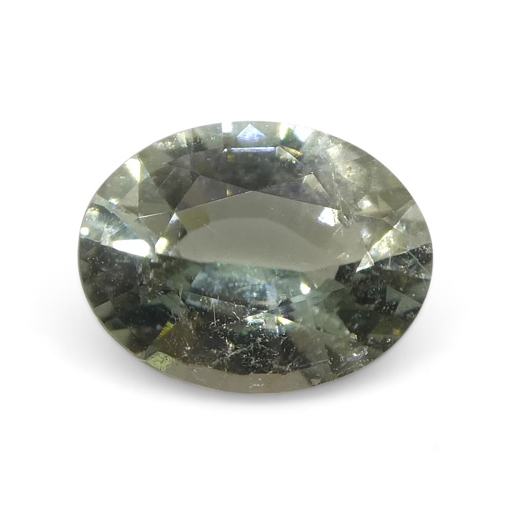0.93ct Oval Green Tourmaline from Brazil For Sale 3