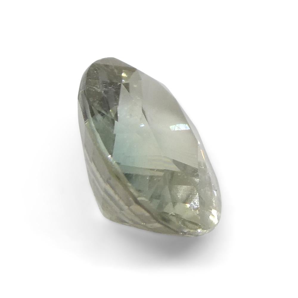 0.93ct Oval Green Tourmaline from Brazil For Sale 4