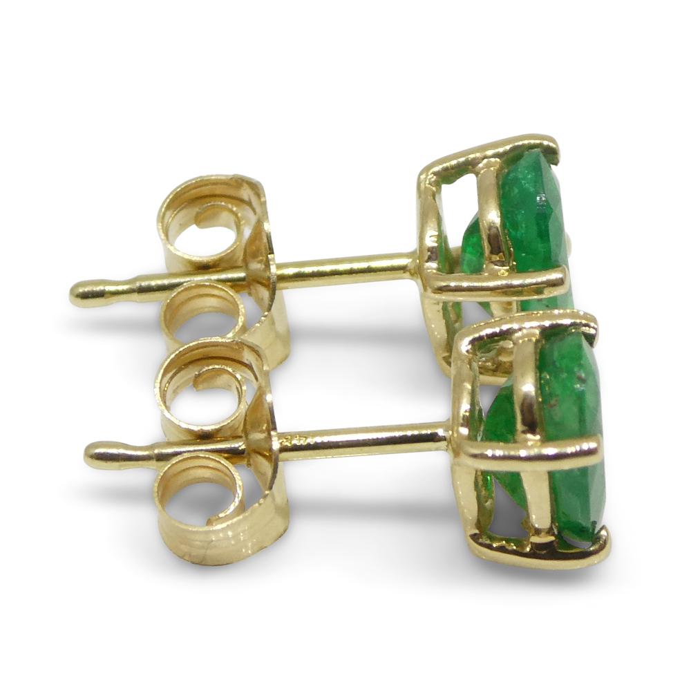 0.94ct Oval Green Colombian Emerald Stud Earrings set in 14k Yellow Gold In New Condition For Sale In Toronto, Ontario