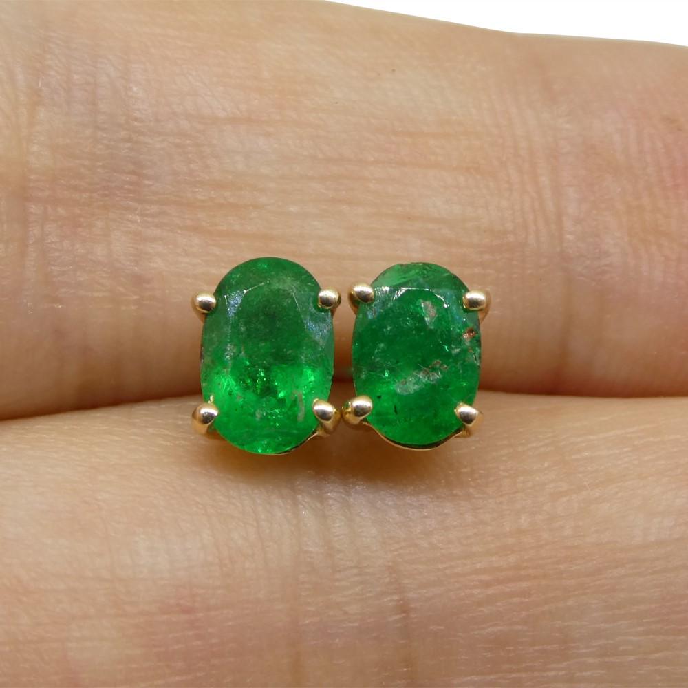 0.94ct Oval Green Colombian Emerald Stud Earrings set in 14k Yellow Gold For Sale 2
