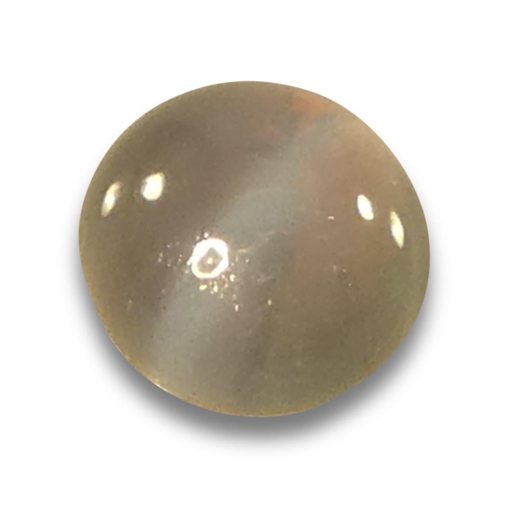 0.94ct Round Cabochon Yellowish Green to Pink-Purple Cat's Eye Alexandrite from  For Sale 6