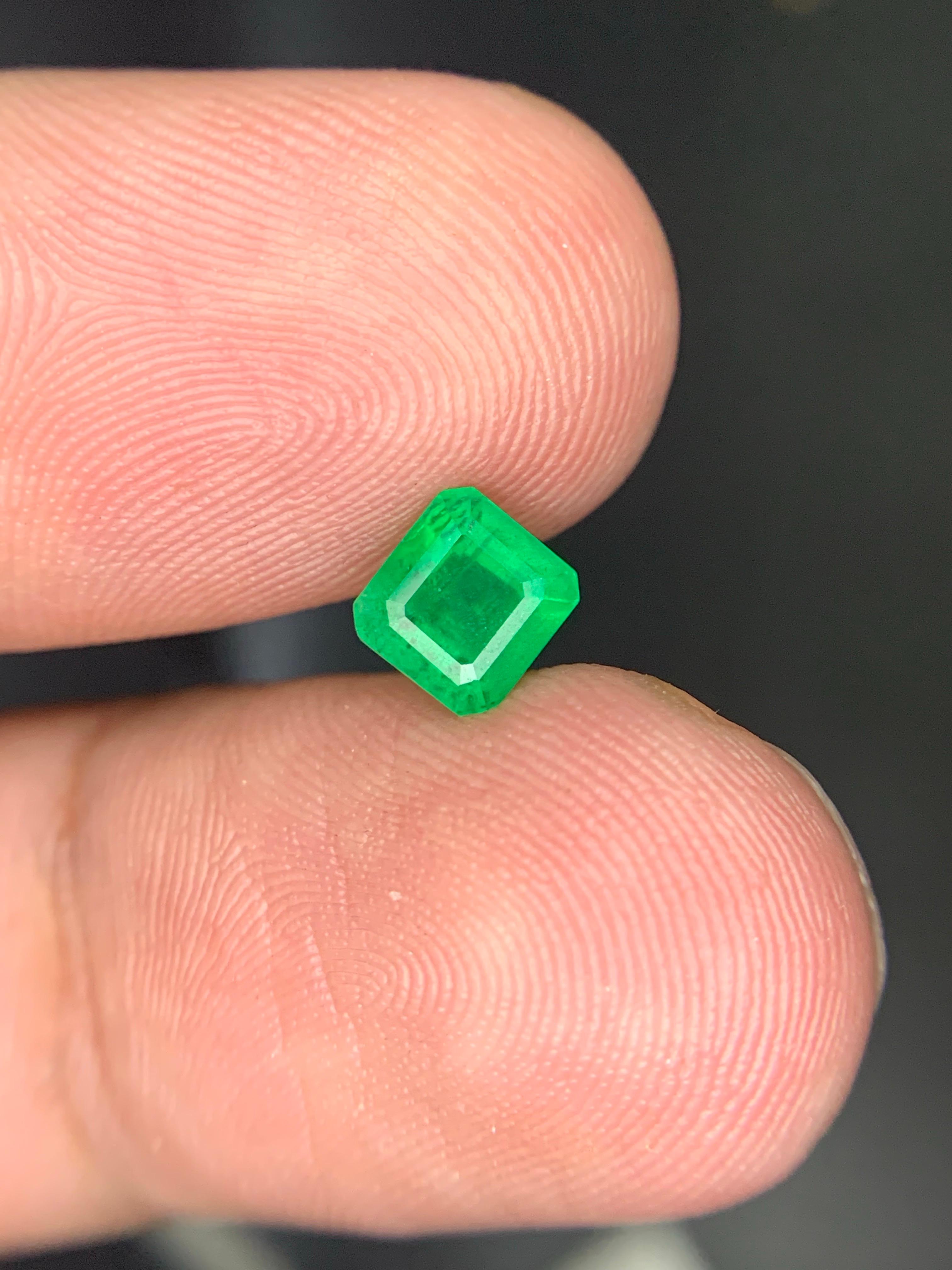 0.95 Karat natürlicher loser Smaragd Edelstein aus Swat, Pakistan (Arts and Crafts) im Angebot