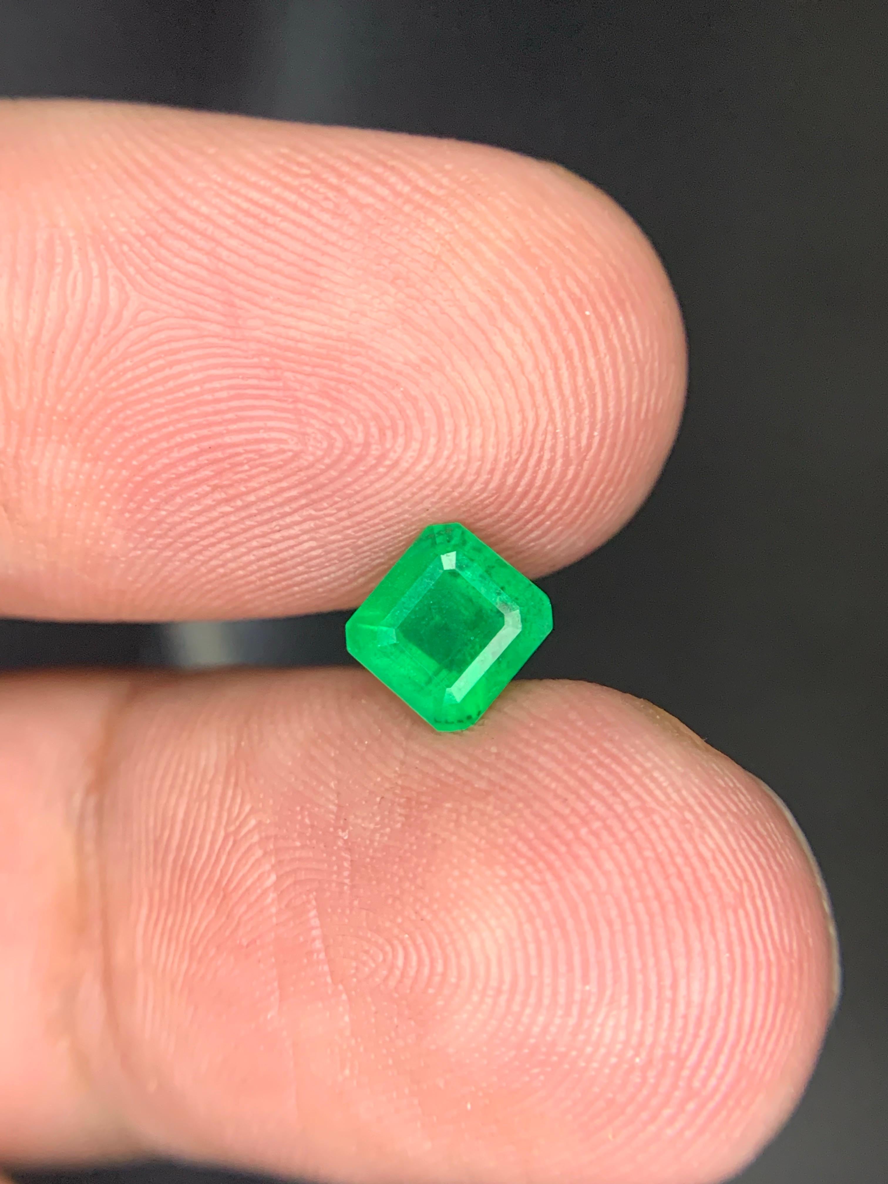 0.95 Karat natürlicher loser Smaragd Edelstein aus Swat, Pakistan für Damen oder Herren im Angebot