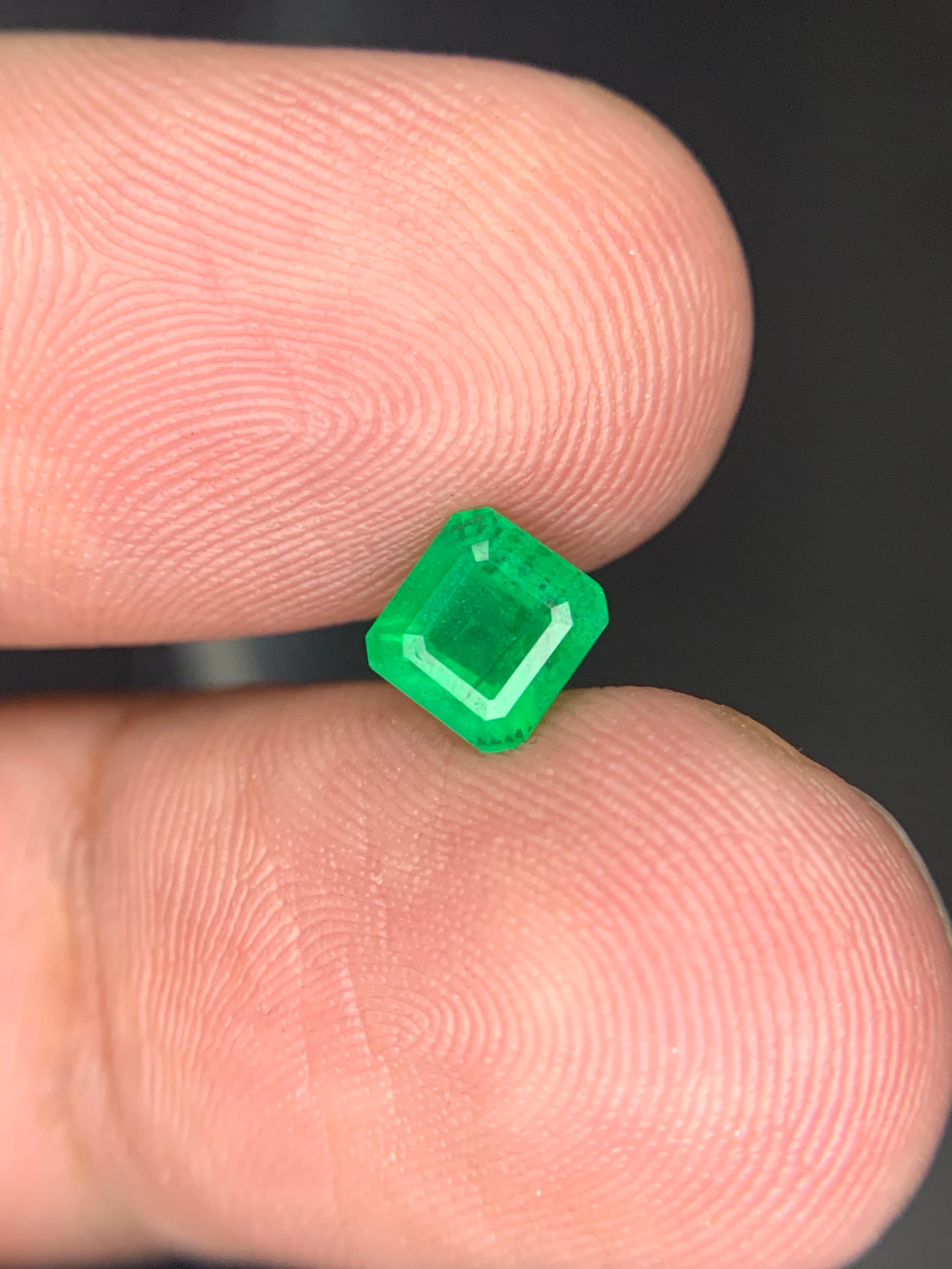 0.95 Karat natürlicher loser Smaragd Edelstein aus Swat, Pakistan im Angebot 1