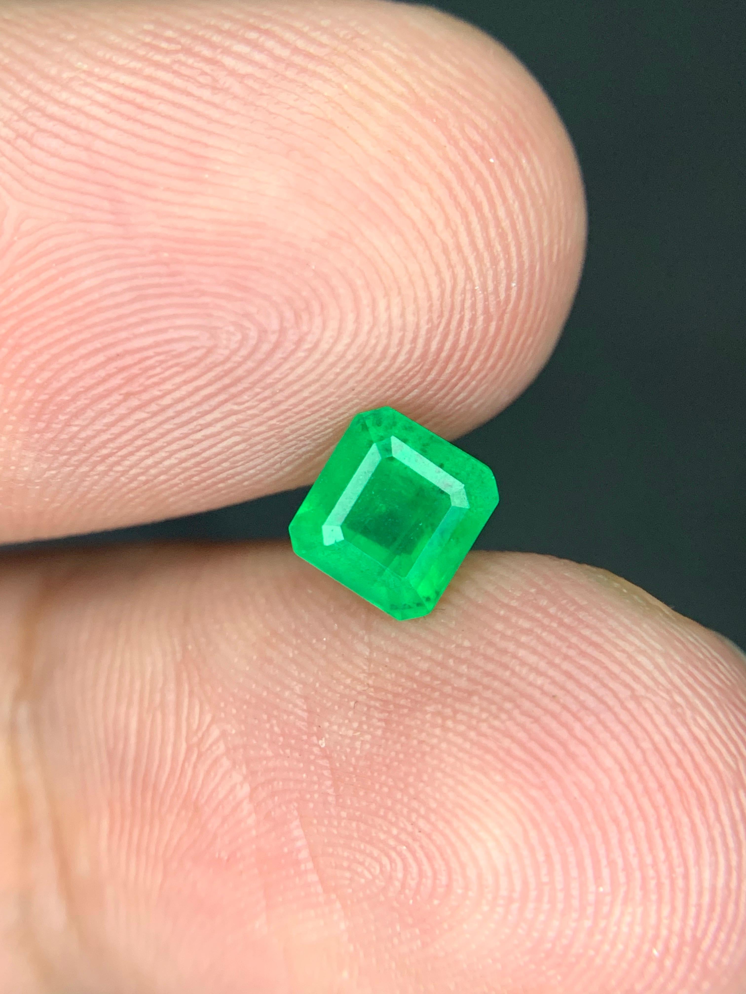 0.95 Karat natürlicher loser Smaragd Edelstein aus Swat, Pakistan im Angebot 2