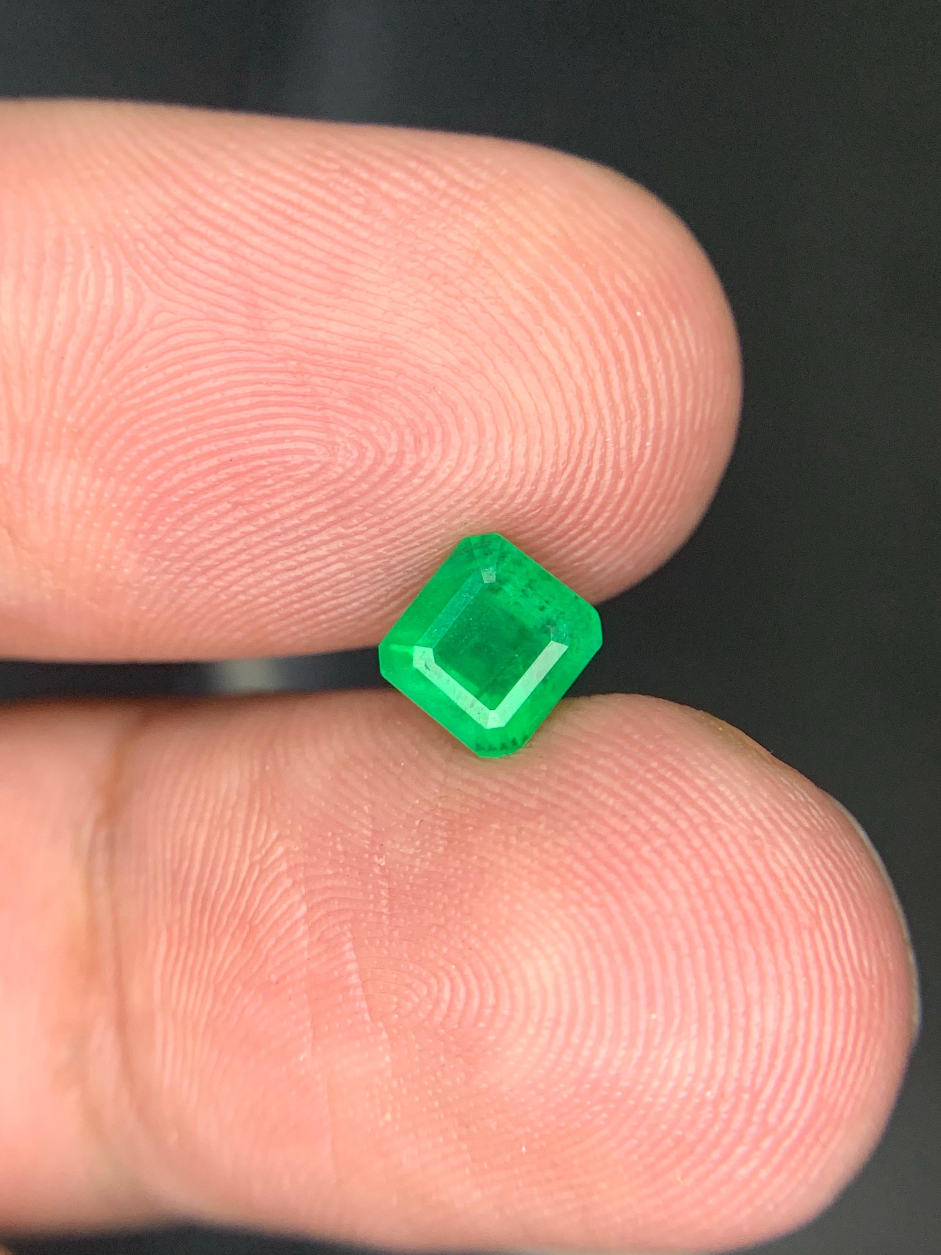 0.95 Karat natürlicher loser Smaragd Edelstein aus Swat, Pakistan im Angebot 3