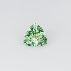 0.95 ct, Faceted mint green tourmaline