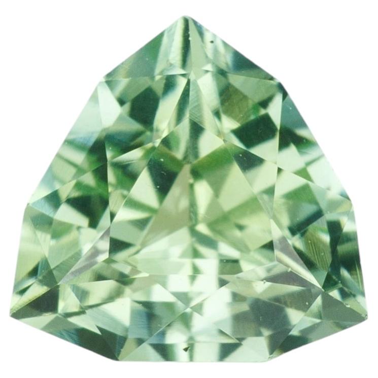 0.95 ct, Faceted mint green tourmaline