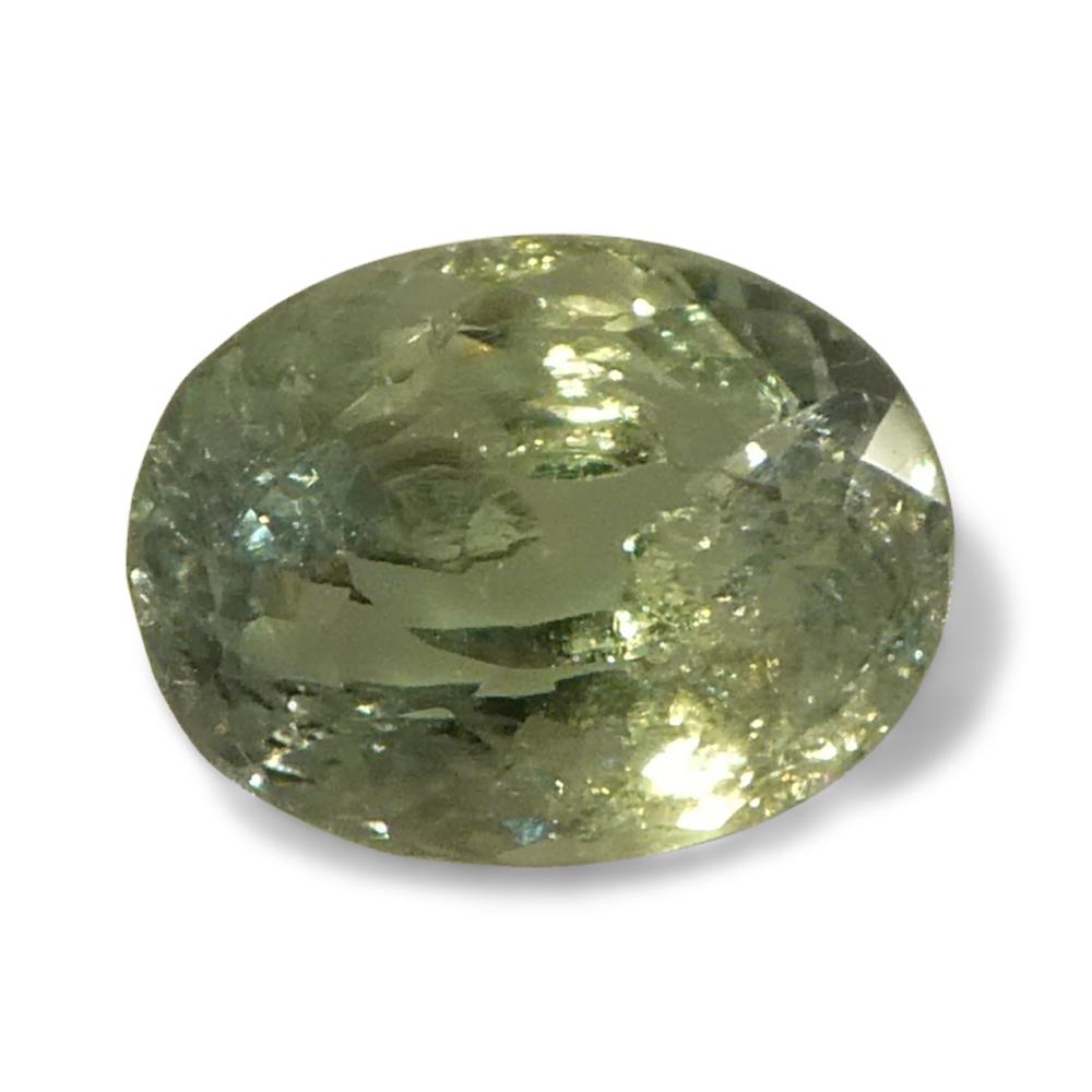 Alexandrite ovale jauneâtre verte à jaune verdâtre de 0,96 carat du Brésil en vente 6