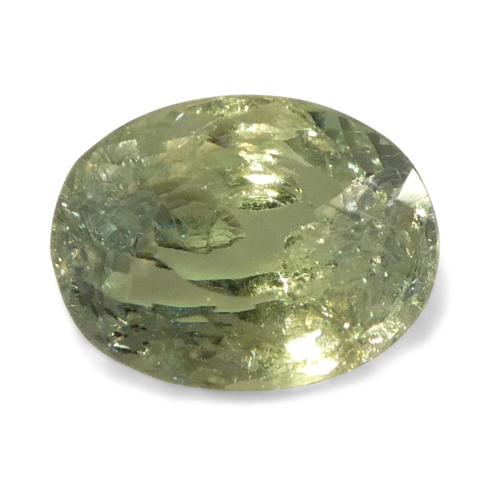 Alexandrite ovale jauneâtre verte à jaune verdâtre de 0,96 carat du Brésil en vente 7