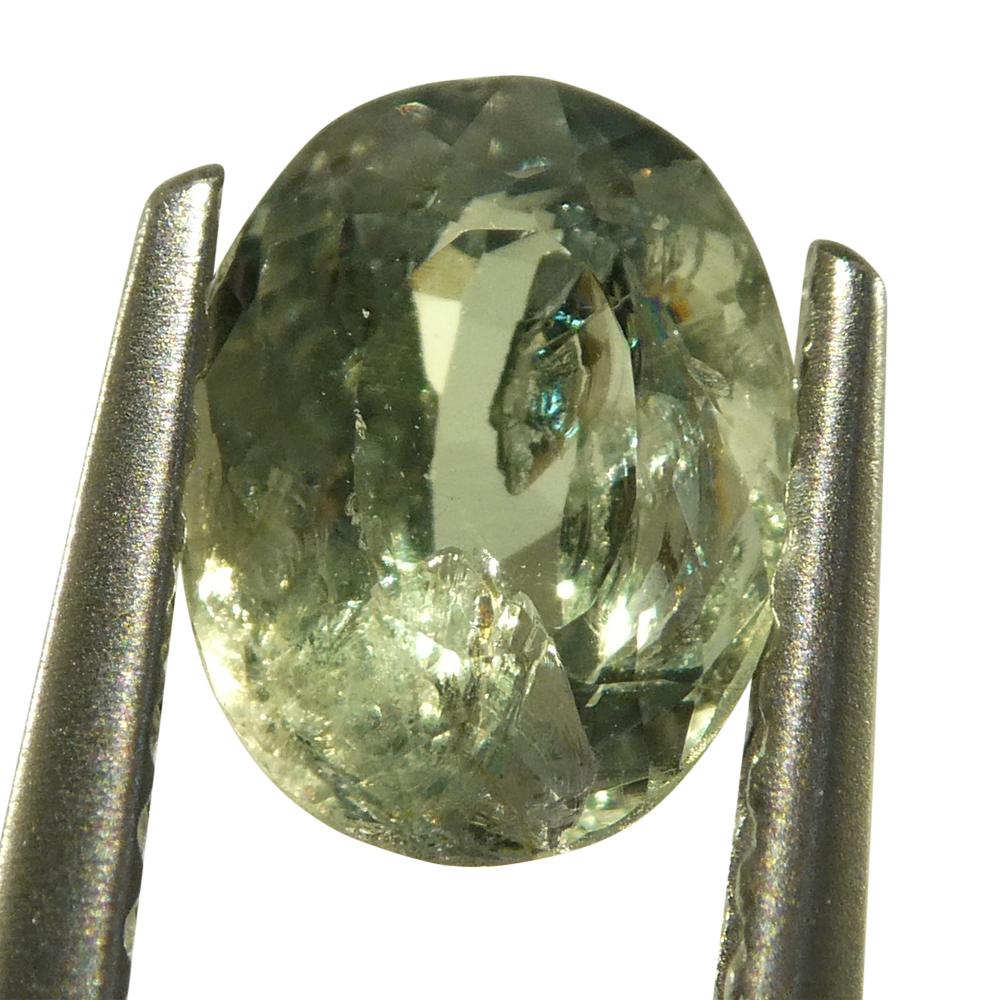 Alexandrite ovale jauneâtre verte à jaune verdâtre de 0,96 carat du Brésil en vente 8