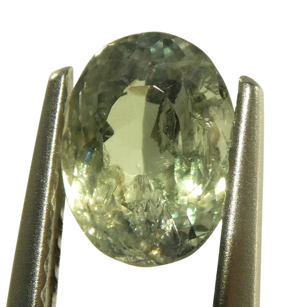 Alexandrite ovale jauneâtre verte à jaune verdâtre de 0,96 carat du Brésil en vente 9