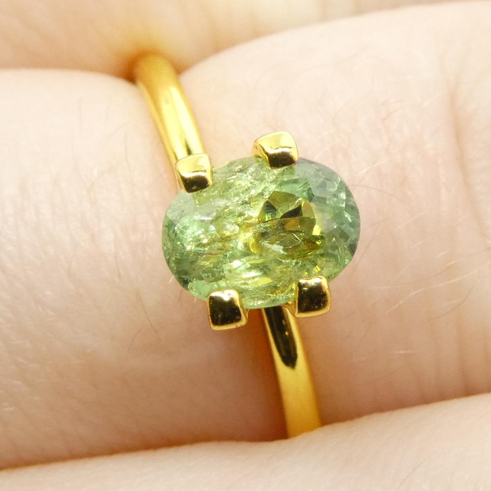 Taille brillant Alexandrite ovale jauneâtre verte à jaune verdâtre de 0,96 carat du Brésil en vente