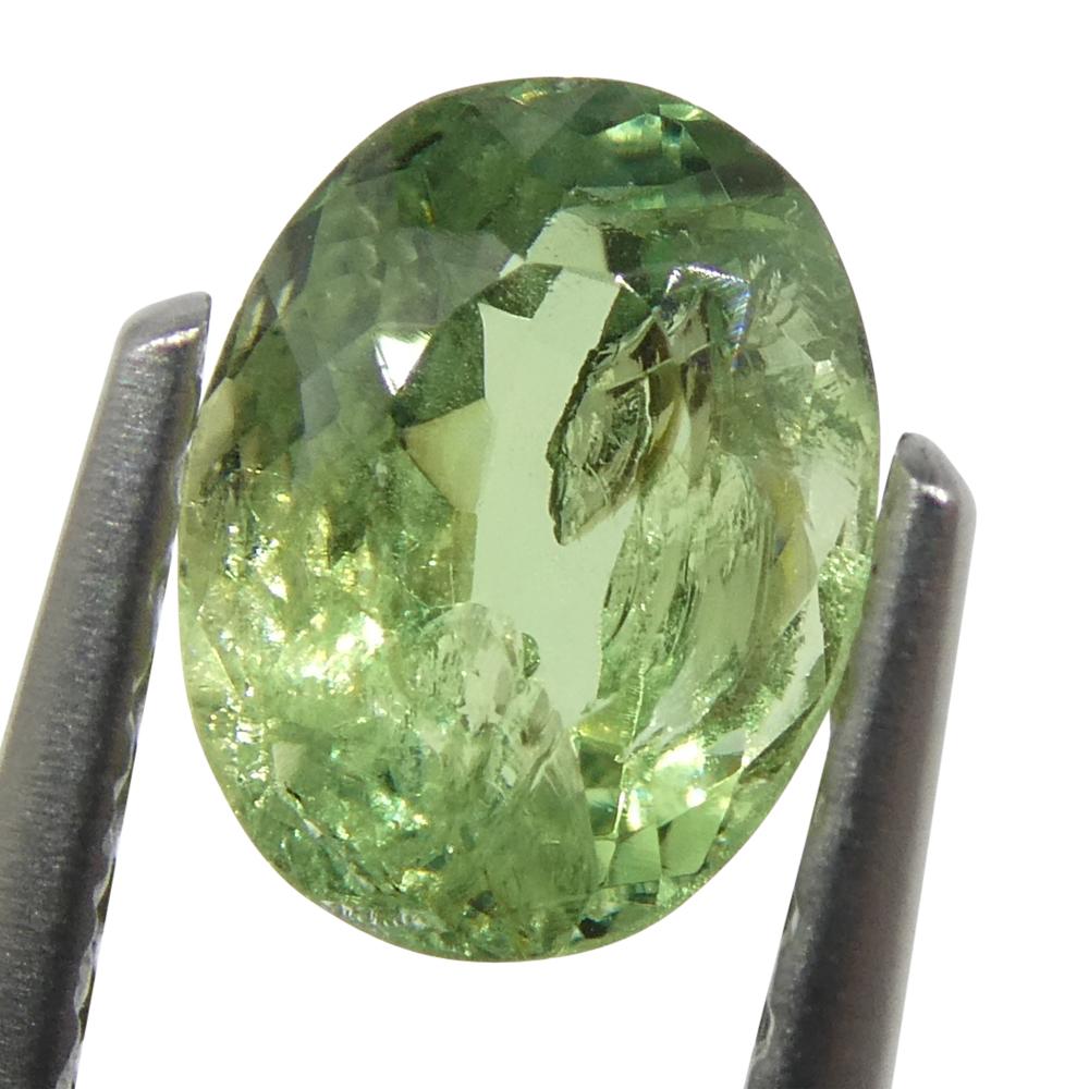 Alexandrite ovale jauneâtre verte à jaune verdâtre de 0,96 carat du Brésil Neuf - En vente à Toronto, Ontario