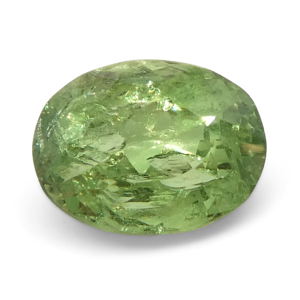Alexandrite ovale jauneâtre verte à jaune verdâtre de 0,96 carat du Brésil Unisexe en vente