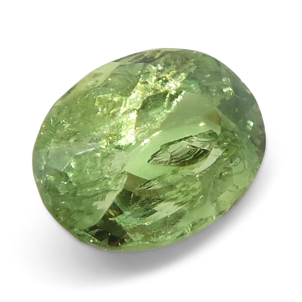 Alexandrite ovale jauneâtre verte à jaune verdâtre de 0,96 carat du Brésil en vente 1