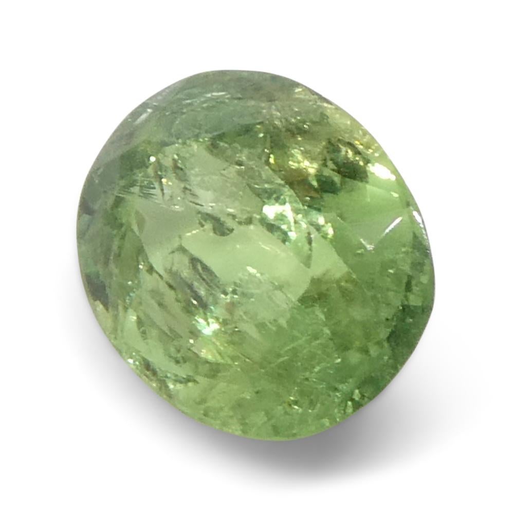 Alexandrite ovale jauneâtre verte à jaune verdâtre de 0,96 carat du Brésil en vente 2