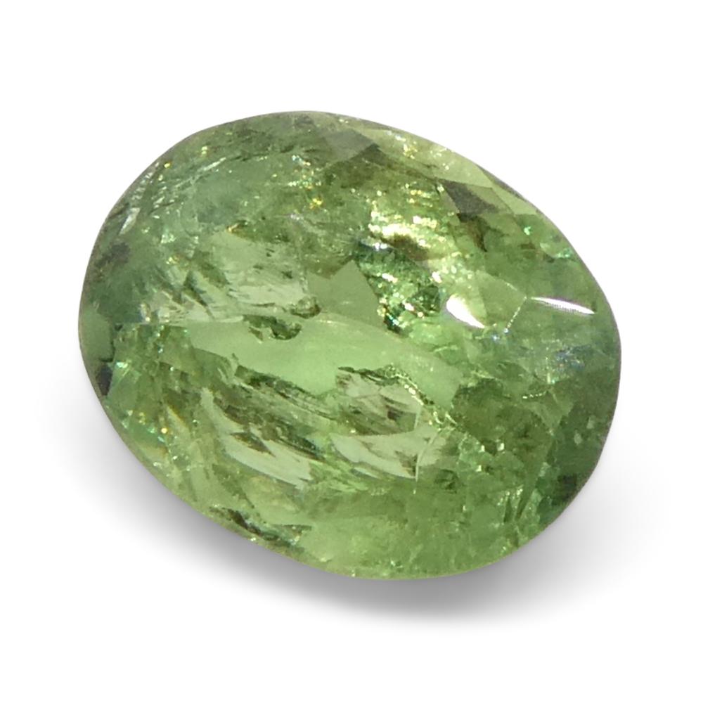 Alexandrite ovale jauneâtre verte à jaune verdâtre de 0,96 carat du Brésil en vente 3