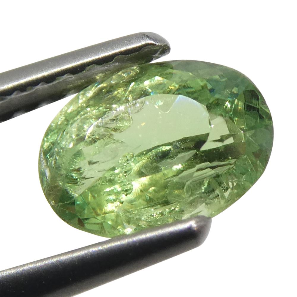 Alexandrite ovale jauneâtre verte à jaune verdâtre de 0,96 carat du Brésil en vente 4