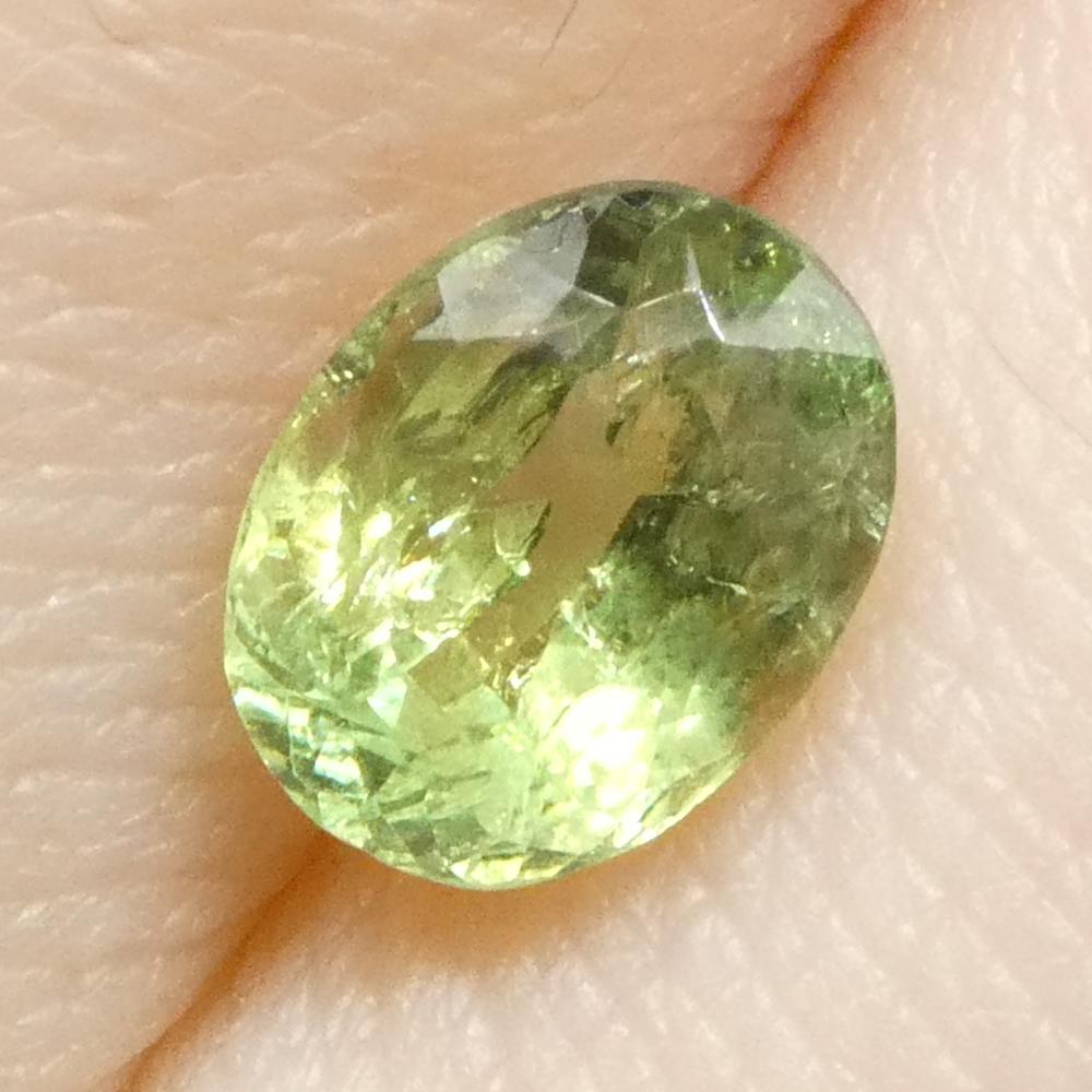 Alexandrite ovale jauneâtre verte à jaune verdâtre de 0,96 carat du Brésil en vente 5