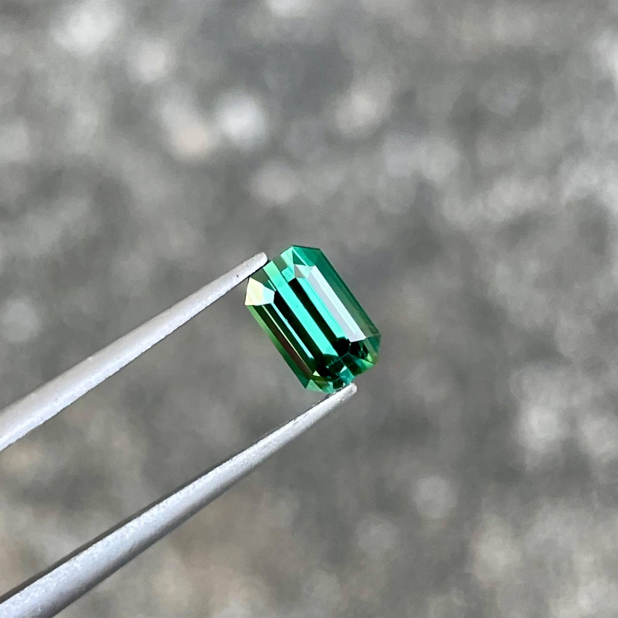 Gewicht 0,98 Karat 
Abmessungen 6,9x4,5x3,65 mm
Behandlung keine 
Herkunft Afghanistan 
Klarheit VVS 
Form Achteck 
Smaragd schneiden 


Dieser exquisite grünliche Turmalin von 0.98 Karat hat einen atemberaubenden Smaragdschliff, der seine