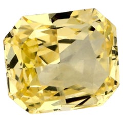 0.99 Karat Gelber Saphir Oktagon Loser Edelstein