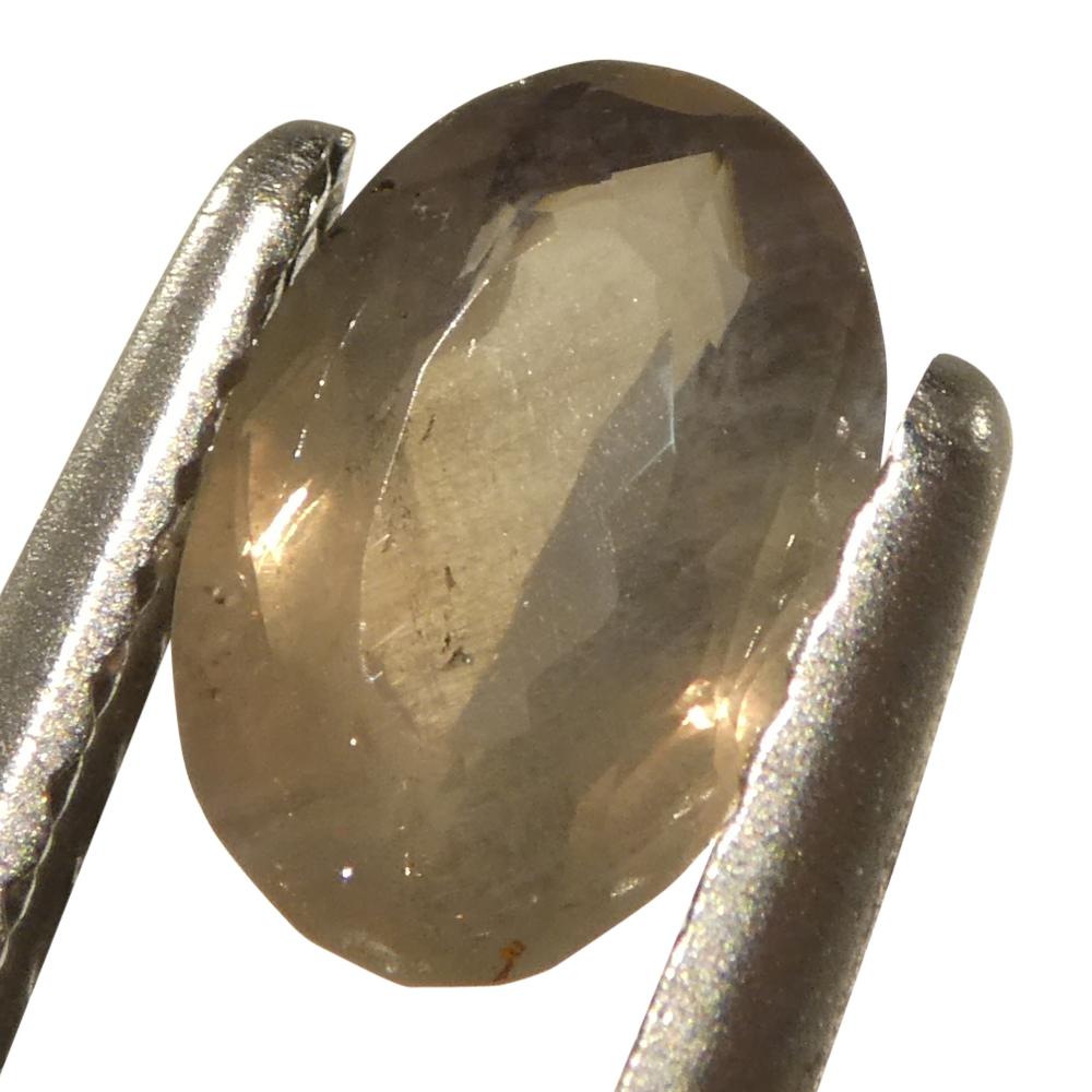 0.99ct Oval Yellowish Green to Yellowish Brown Alexandrite dal Brasile in vendita 8