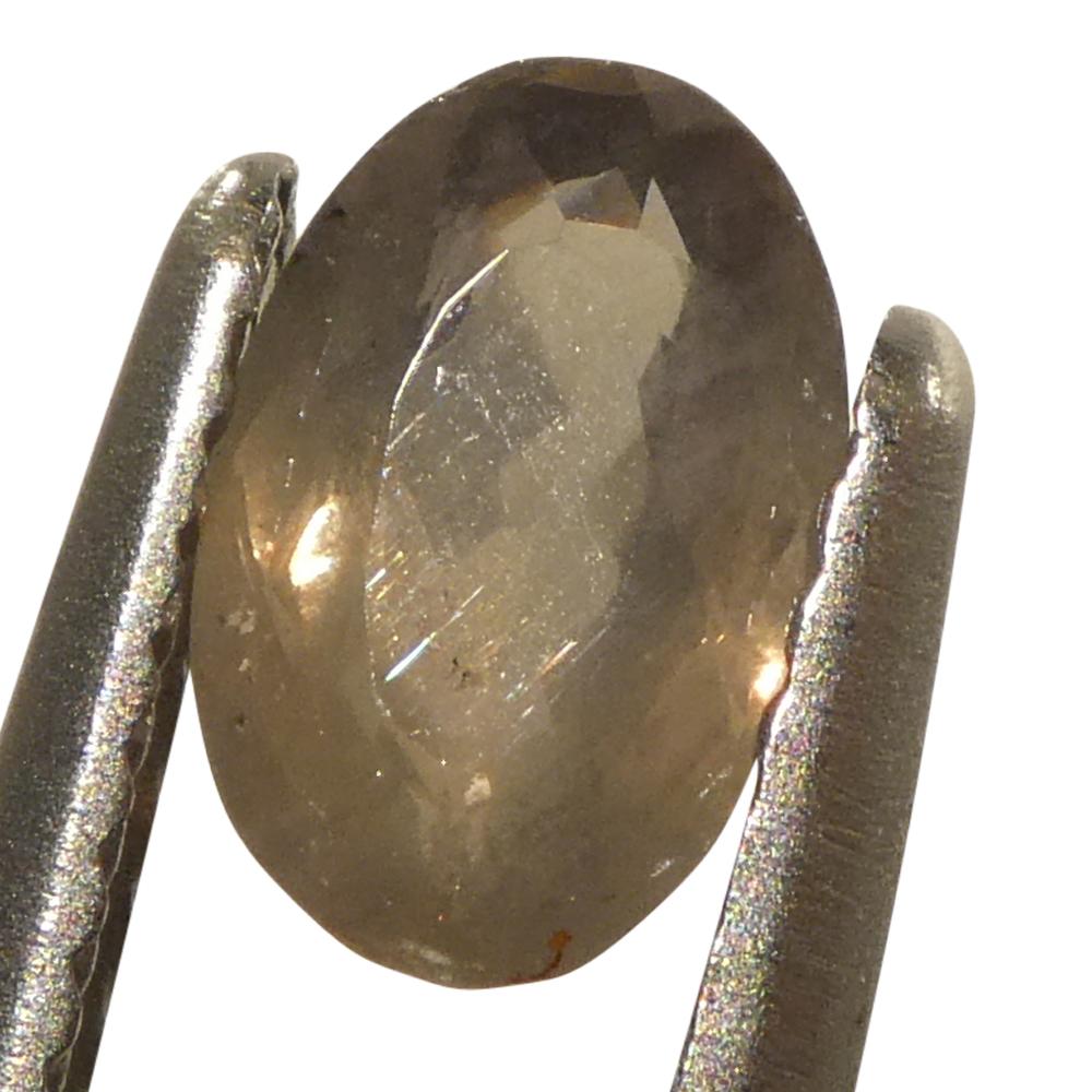 0.99ct Oval Yellowish Green to Yellowish Brown Alexandrite dal Brasile in vendita 9
