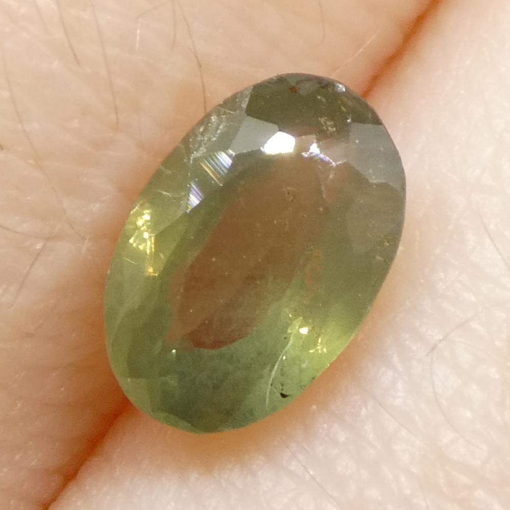 0.99ct Oval Yellowish Green to Yellowish Brown Alexandrite dal Brasile in vendita 5