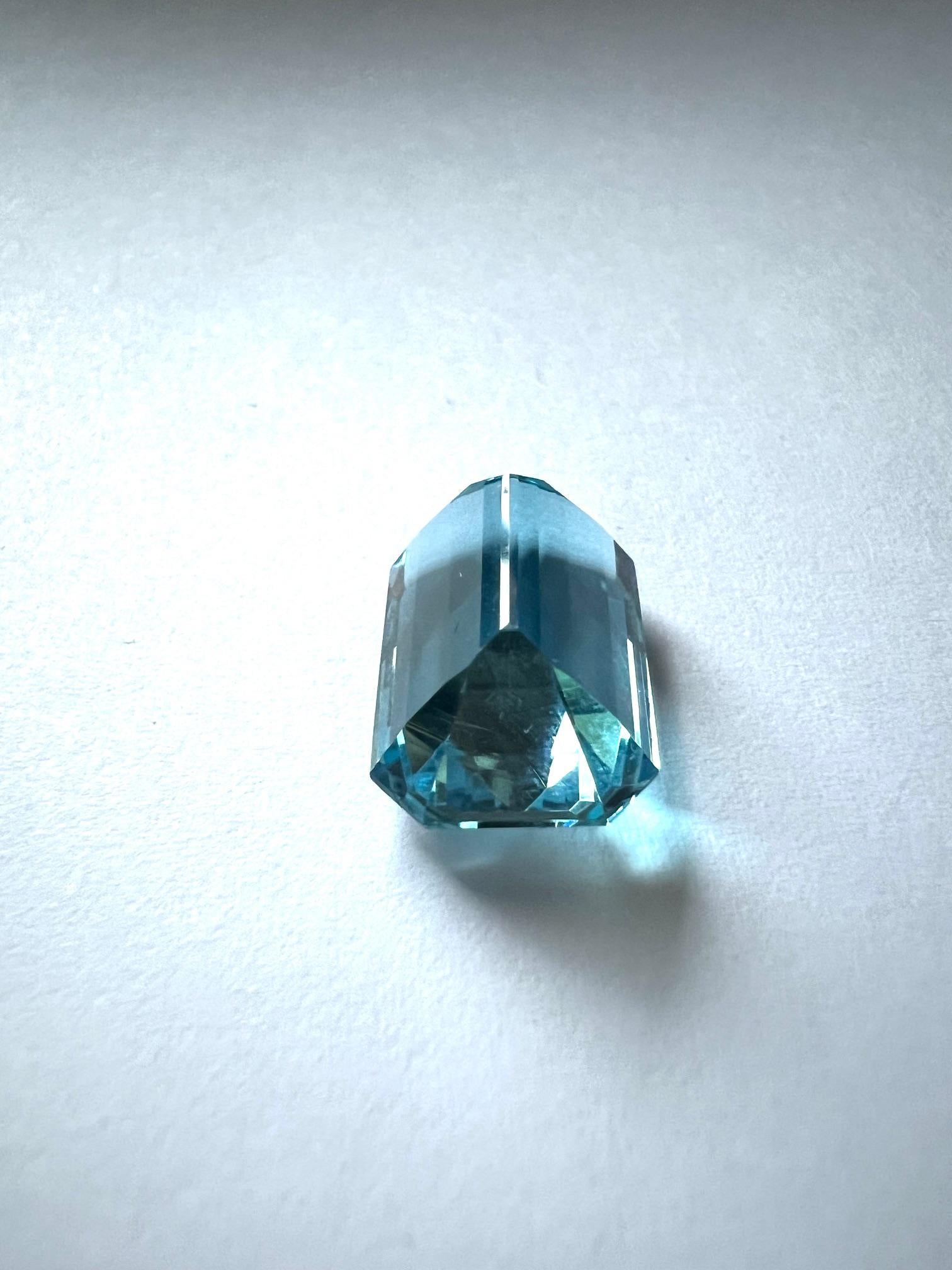 Octagon Cut 1 Aquamarine Santa Maria fac. octagonal 15.2x11mm For Sale