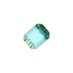 1 Ct Bicolor Pale Mint Green & Soft Aqua Color Tourmaline Gemstone Emerald Cut