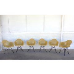 1 Herman Miller Eames Fiberglass Shell DAR Eiffel Base