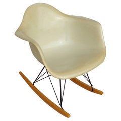 1 Raquette Herman Miller RAR en fibre de verre et coquille de parchemin par Eames