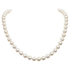 $1 NO RESERVE! - 7.5mm Cream Japanese Akoya Pearls, Yellow Gold Necklace