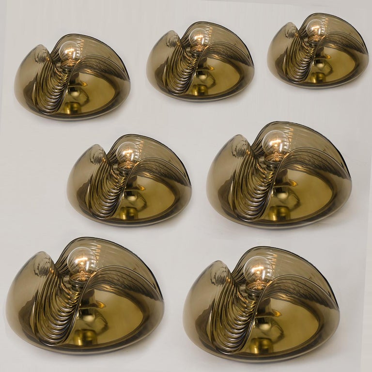 1 of 15 of Koch and Lowy Smoked Glass Wall Sconces/Flush by Peill Putzler For Sale 7